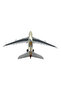Airbus A380 Etihad Airways 1:160 Scale 45.5 cm Large Model Airplane - Collectible - 5