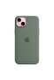 iPhone 15 Plus Silicone Case with MagSafe, Cypress - 2