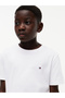 Boys T-Shirts - 4