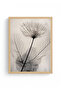 Natural Wood Framed Minimal Leaf Pattern Painting - Black and White |   Huhu1320
