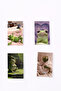 Capture Your Mood Party Game 56 Cards Fun Friend Family Box Game Mod Game 4. Series - 2