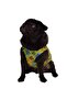 Pawstar Green Monsters Cat and Dog T-Shirt