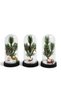 Christmas Themed Illuminated Decorative Glass Jar Alk5074 - 2