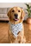 Blue Floral Elastic Dog Bandana