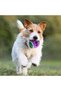 Kp Dog Toy Tennis Ball Hard 3-Pack 6 cm – Durable Dog Ball - 2
