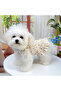 Dog and Cat Dress - 3