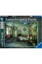 Puzzle Cameră Parazit, 1000 Piese