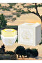 7 قطع من عطر المسك 40 جرام - 3