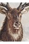 H17 Long-Lasting Tapestry Fabric -Deer, Forest, Hunting- Concept Decors, Creative Applications 80X105Cm - 4