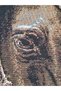 H19 Long-Lasting Tapestry Fabric -Horse, Jockey, Equestrian- Concept Decors, Creative Applications 80X110 cm - 7