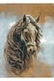 H19 Long-Lasting Tapestry Fabric -Horse, Jockey, Equestrian- Concept Decors, Creative Applications 80X110 cm - 3