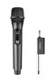 Aveek Wireless Microphones Karaoke Microphone with Rechargeable Receiver for Singing Party Wedding - 3