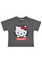 2-5 Years Old T-Shirt - Gray - 2
