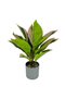 Planta Artificiala Calathea Triostar 45CM