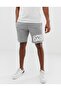 Printed Men's Shorts Gollingerx Sportwear Company - 2