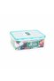 4 Side Locked Plastic Container - 3