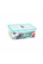 4 Side Locked Plastic Container