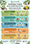 زيت الجوجوبا النقي 100% - غير مخفف (2 × 20 مل) - 2