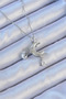 316L Steel Chain Silver Color Zircon Stone Butterfly Enamel Moon Necklace Tg-Vi̇ce9094 Tg-V 7108