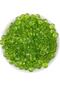 10mm Green Color Flat Bonibon Ufo Model Acrylic Beads, Jewelry Making Beads (25Gr,~75 Pieces)