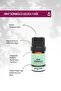 Indian Hyacinth Essential Oil (Nardostachys Jatamansi) 5 Ml. - 2