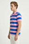 Mazzini Sax - Pink 100% Cotton Striped Polo T-Shirt - 4