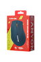 Mouse CNE-CMS05BL Albastru - 2
