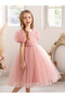 Girls Lace Puff Sleeve Mesh Party Dress - 6