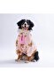 26755- Pink Gentle Bruno Big Sweat-5Xl
