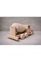 Beech Wood Wooden Concrete Mixer Toy 22X9X9 cm – Handmade Natural Decorative Concrete Cart - 2
