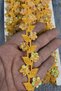 Torixa Decorative Ribbon Edge Trim – 3 cm Wide, 1 Meter for Crafts, Organization, and Decoration