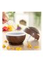Wood Effect LED Aromatherapy Humidifier – USB Essential Oil Diffuser - 2