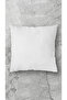 2 Pieces Premium Square Throw Pillow Inner Cushion, Fiber-Filled 45X45 - 3
