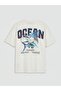 LCW Kids Crew Neck Printed Boys' T-Shirt - 2