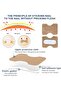 50-Piece Box Toenail Corrector Patch, Nail Care Patch - 4