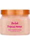 Tree Hut Shea Sugar Scrub, Tropical Mango, 18 Ounce