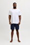 Large Size Regular Fit Deniz Sortu - Maui - 2