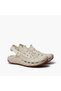 Dogtooth Clog - 4