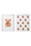 Lcw Home Mixed Bear Teddy Printed Drying Cloth 2-Pack 40X50 cm - 5