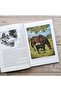 Bath Classics Paperback - Black Beauty - 3