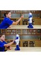 Robot interactiv cu telecomandă, Silverlit, Ycoo, Program A Bot XL - 6