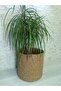 Handcrafted Decorative Brown 30X30Cm Plant Pot Cover Decorative Natural and Stylish - 7
