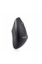 PERIMICE-608 Mouse Ergonomic (10914) - 3
