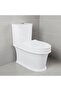Luxe WC Model No 279 S Trap White