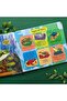 Life-cycle Books - Frogs - 2