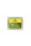 MASTIC GUM 10GM - 2