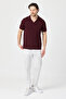 Vita Men's Burgundy Modal Fabric Slim Fit Flexible Polo Collar T-Shirt - 6