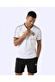Alessio Men's White Regular Jersey - 3