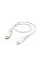 Type C -Lightning Cable - 2