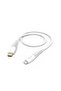 Type C -Lightning Cable